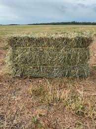 Hay for Sale in Livestock in Peterborough