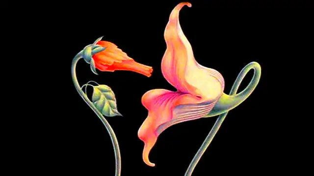 Feeling Knotty?64534648132098120