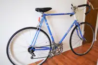 RALEIGH Vintage Speed Road Bike