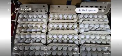 Golf balls , View more
