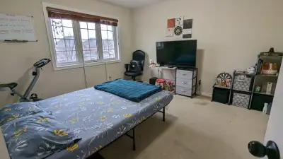 Room for rent in Castelmore, Brampton