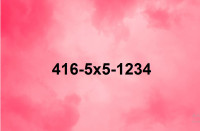 Super easy VIP 416 Toronto Phone Numbers