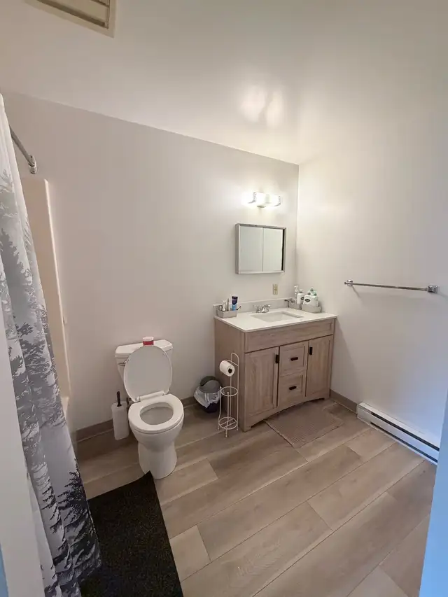 Spacious Bright 2 Bdrm in Long Term Rentals in Thunder Bay - Image 6