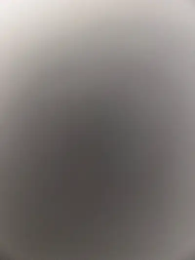 kitten ready to go to her forever home!, View more