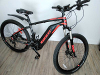 Vélo Giant e-bike électrique moteur et batterie 500w 