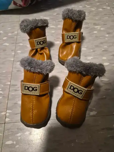 Bottes pour chien, View more