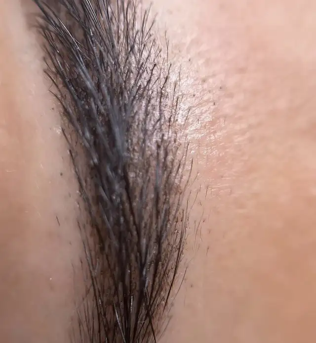 eyebrows microshading models needed in Health and Beauty Services in City of Toronto - Image 6