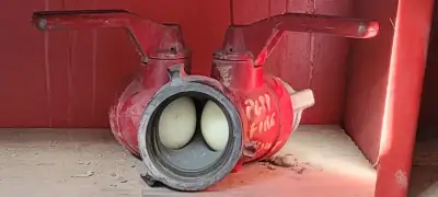 Firehose Splitter w/ Ball Valves, View more
