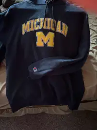 Michigan champion hoodie men’s 