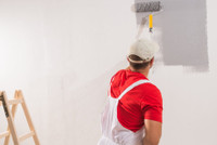 Professional     Painters: Transform Your Space with Expert Pain