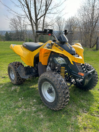Can-am DS250