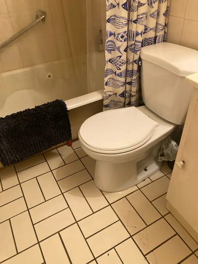 Cleaning Services65561335005697123