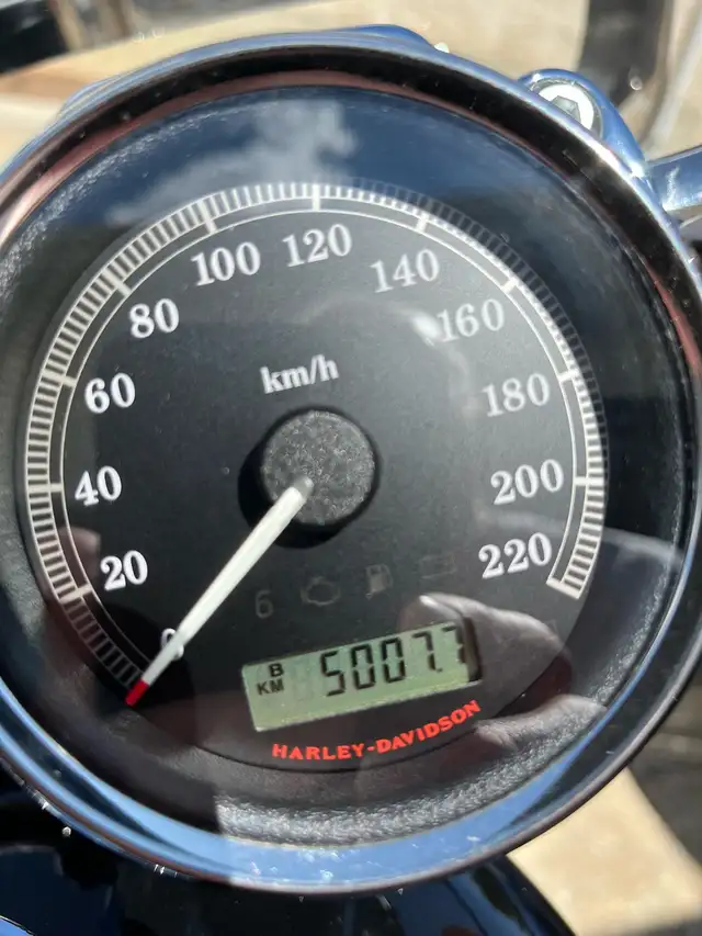  2012 Harley Davidson Sportster XL 1200 Custom  in Street, Cruisers & Choppers in Edmonton - Image 7