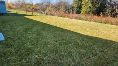 Dalton's Lawn Care is offering a wide variety of property maintenance services in Peterborough area....
