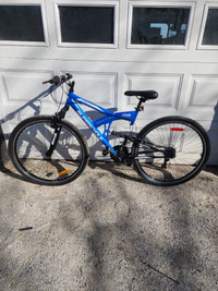 29'' Wheel dual suspension mountain bike Blue Super cycle DS