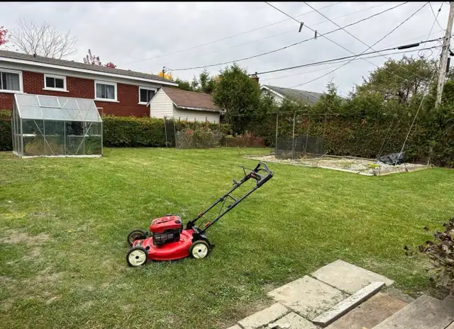 Lanw mowing services 464149116555120642