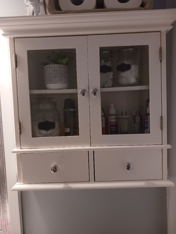 Bathroom Medicine Cabinet in Bookcases & Shelving Units in Belleville