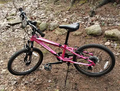 20 Inch Kids Mountain Bike for 8-11 years boys & girls JAMIS bicycle with kickstand. Bike featuring...