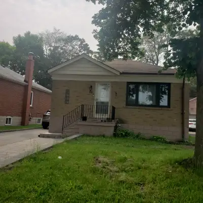 3 bedroom house for rent