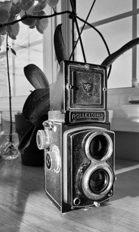 Rolleicord, 120 film, working