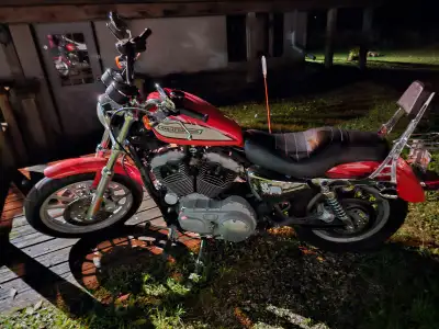 2005 HD 1200 Roadster: - great shape - eye catching 2 tone Harley racing orange and cream - dual dis...