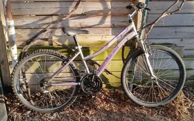 Nakamura Inspire 2 woman's mixte bike, View more