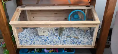 urgently need to rehome a hamster , View more