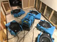 Emergency Water Damage - Flooded Basement - Mold Removal