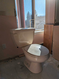 Functionning toilet