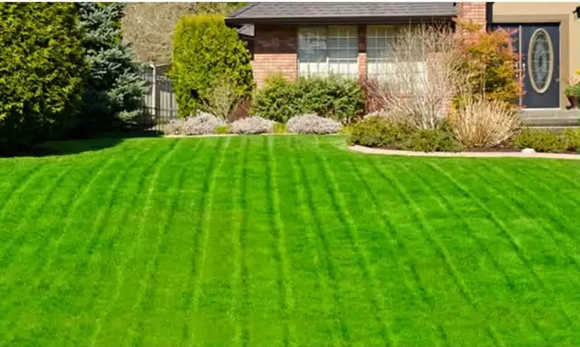 lawn care grass cut in Lawn, Tree Maintenance & Eavestrough in Windsor Region - Image 5
