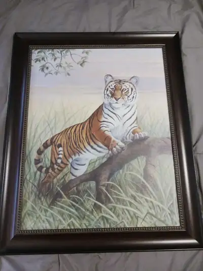 Tiger picture by Ron Jenkins, View more
