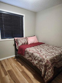 Fully furnished room for rent in Walden 