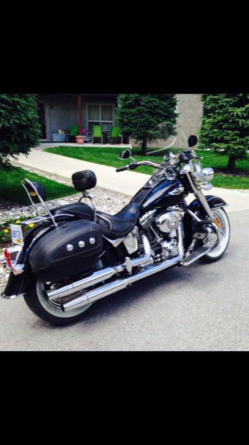 2008 Harley Softail Deluxe in Street, Cruisers & Choppers in Cranbrook - Image 2