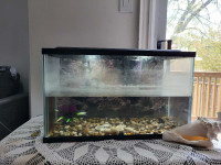 Fish tank ,Aquarium
