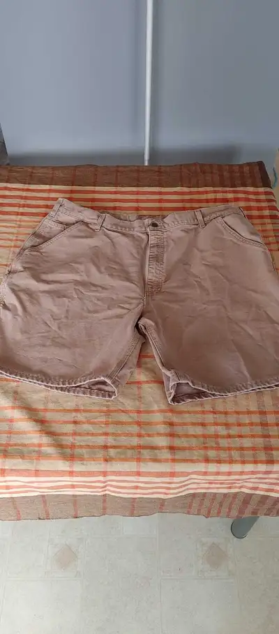 Carhartt Shorts, View more