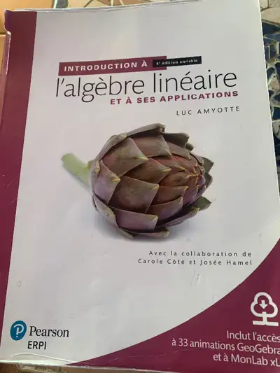 Livre Cegep Introduction à l’algèbre linéaire 4e édition, View more