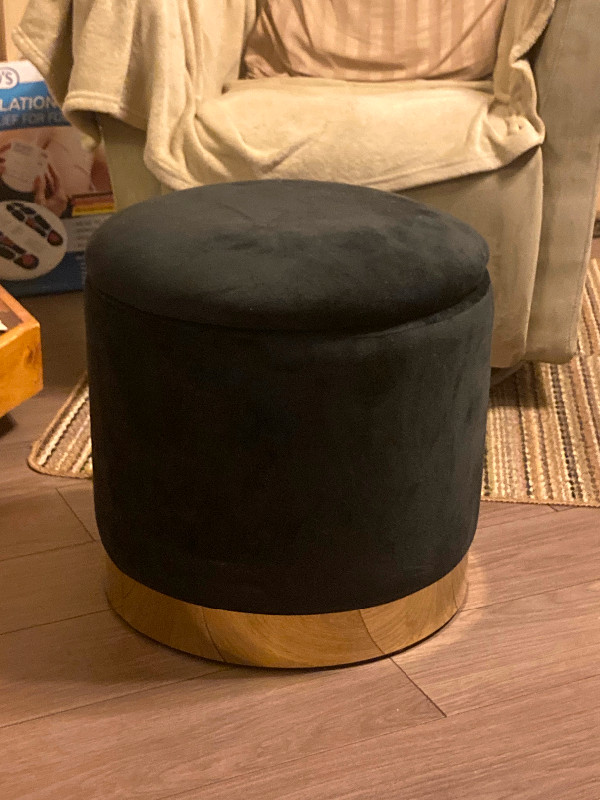 Ottoman with Storage - Mint Condition in Other Tables in Thunder Bay