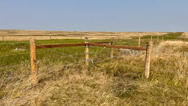 Custom fencing 63581887569025122