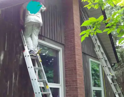 PAINTERS NEEDED, View more