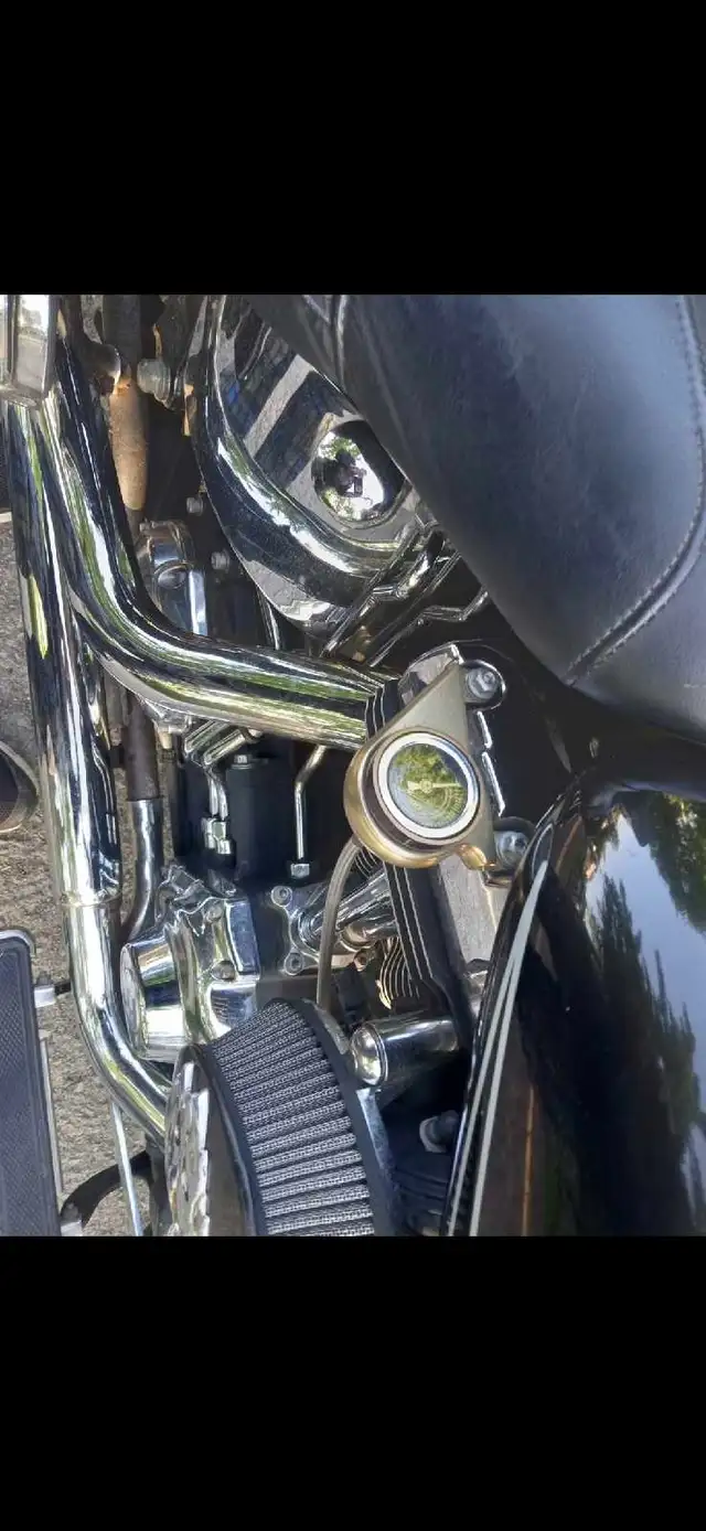 2009 Harley Davidson Heritage Softail in Street, Cruisers & Choppers in Ottawa - Image 9