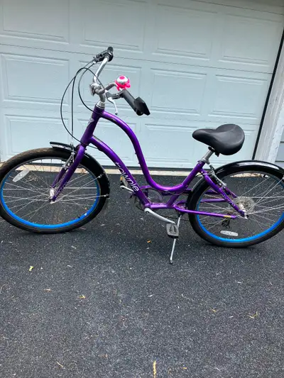 Townie Bike  7D Step Thru - 7 speed - $500, View more
