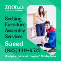 Handyman / Furniture Assembly / TV Mounting