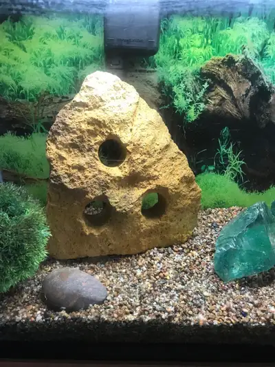 Aquarium Decorations, View more