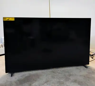 Sanyo Roku 55  inch TV, View more