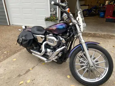 2009 1200 Sportster , performance add ons , quick detach windshield , leather saddle bags, also come...