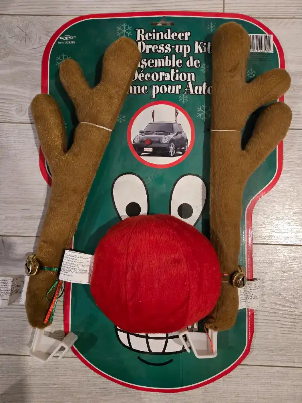 Reindeer, car dress-up kit