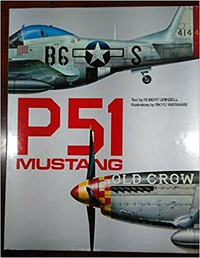 P51 MUSTANG ROBERT GRINSELL RIKYU WATANABE COMME NEUF TAXE INCLU