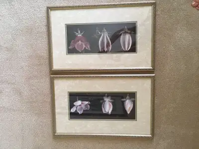 Botanical Custom Framed Prints, View more