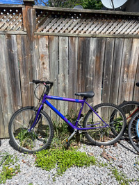 Bike - Mid size 