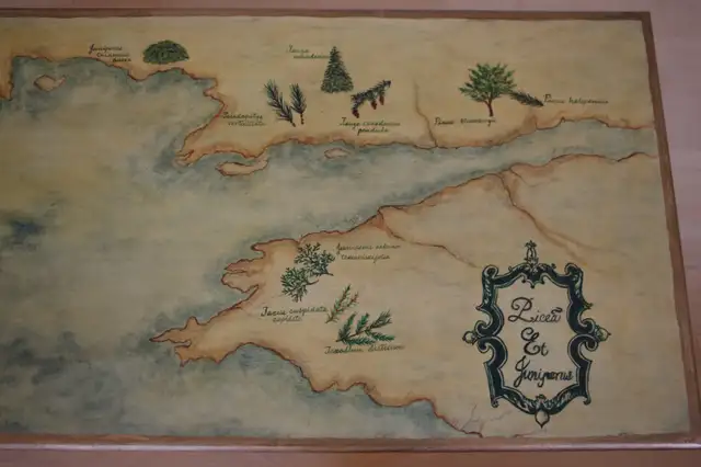 Coffee Table painted by Artist 37 x 19 x 14"Handpainted in Coffee Tables in City of Toronto - Image 9